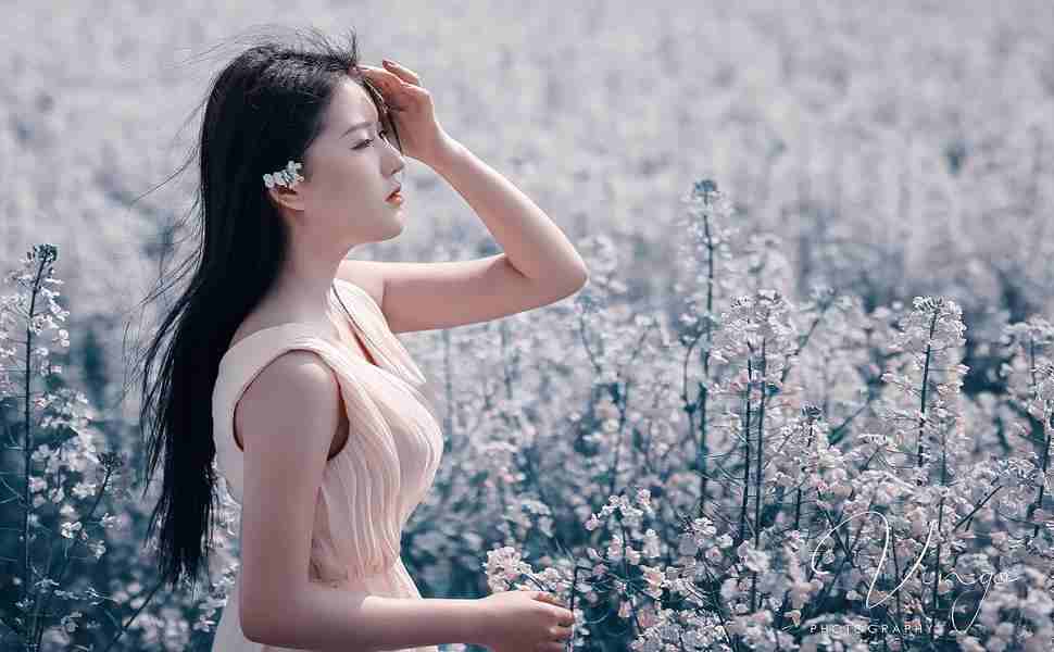 杨浦网站推广